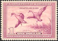 rw05.jpg (18484 bytes)