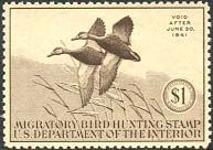 rw07.jpg (17740 bytes)