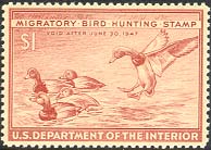 rw13.jpg (18951 bytes)