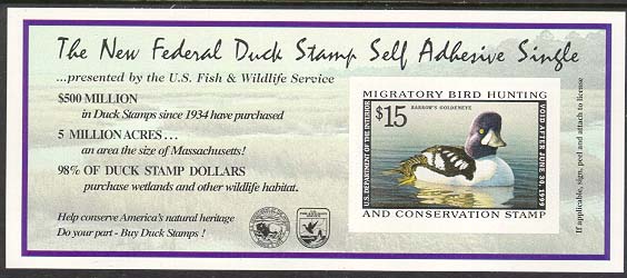 rw65a.jpg (47314 bytes)