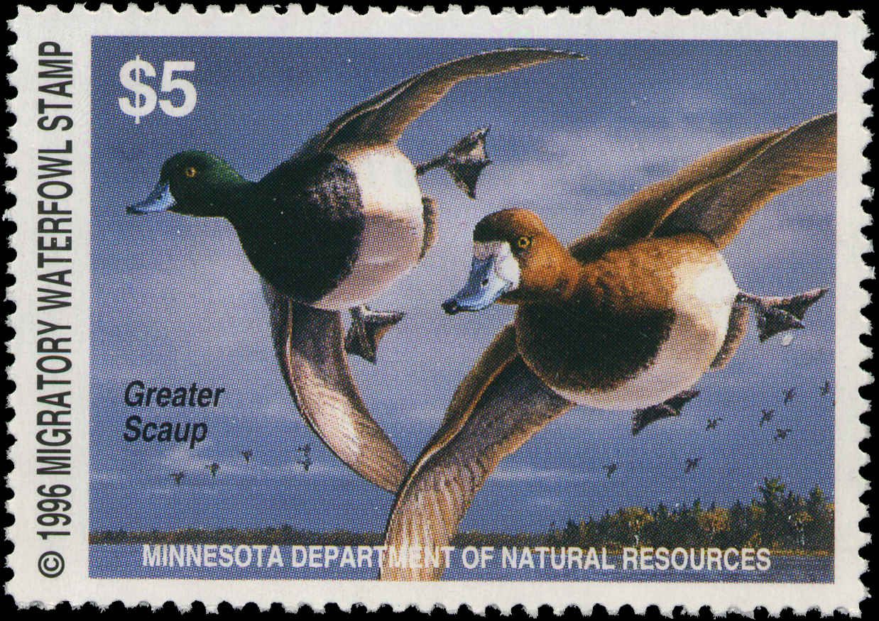 Minnesota Duck Stamps